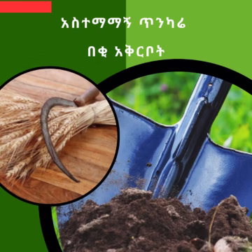 የብረታ ብረት ውጤቶች - Metal at Conmaret