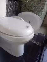 1000003545 1
