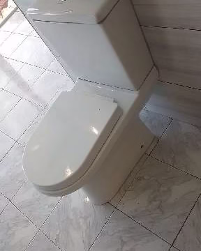 1000003547 1