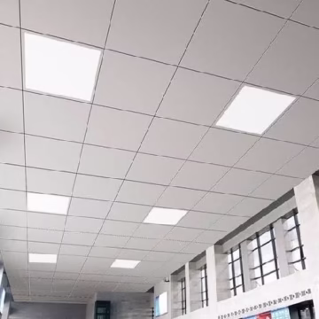 1000004799