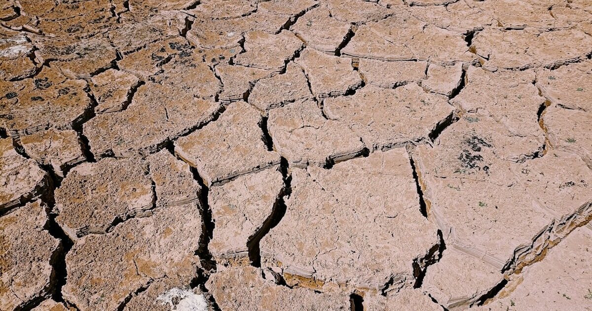 preventing cement cracking in construction