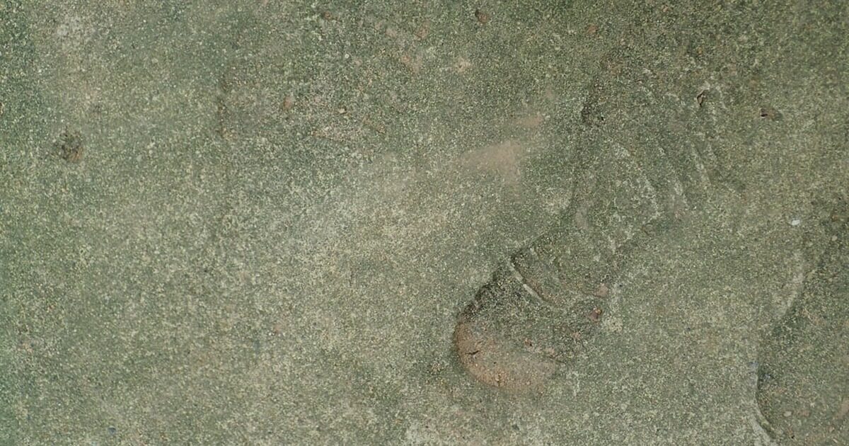 ለአካባቢ ተስማሚ የሆኑ የሲሚንቶ አይነቶች (Green Cement)