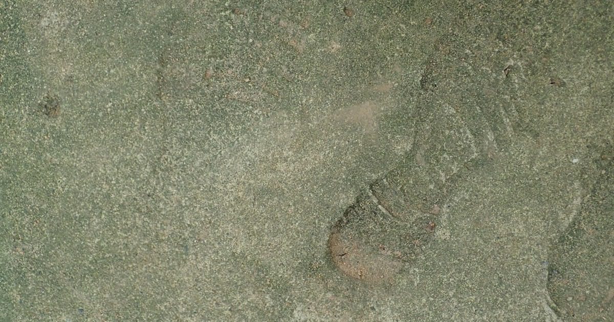 ለአካባቢ ተስማሚ የሆኑ የሲሚንቶ አይነቶች (Green Cement)