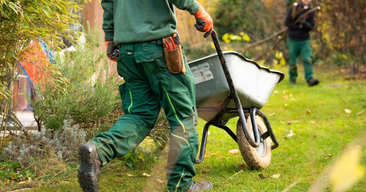 የጓሮ አትክልት እና የመሬት ገጽታ (Landscaping) ውበት