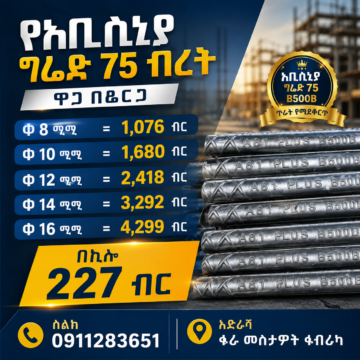 የቤርጋ ብረት - ባለ 12 ሚሊ (Berga Steel Rebar - 12mm)