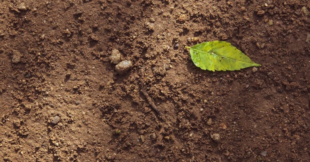 የመሠረት አፈር 'ምርመራ' (Soil Test) ለምን የግድ ነው?