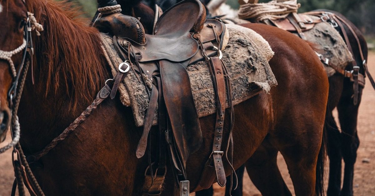 አምድ ላይ ያሉት 'ማገዶዎች' (Stirrups) ለምን ወደ ውስጥ ይታጠፋሉ?