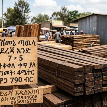 ሞራሌ 7*5 ሻሸመኔ