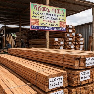 ሞራሌ 4*5 ሻሽመኔ